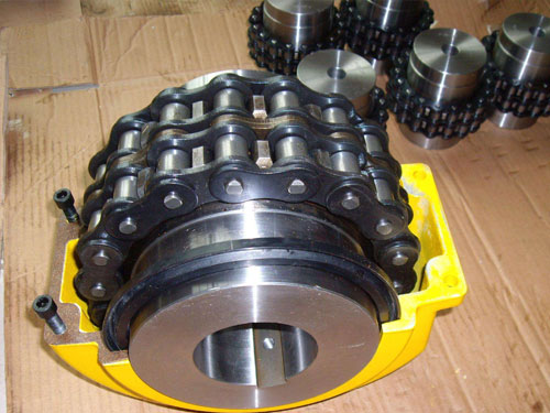 Roller chain for coupling